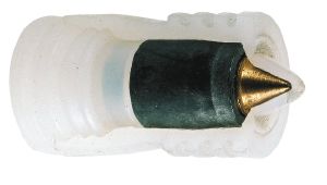 Mary Arm Fier