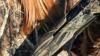 Franchi Affinity 3 X Camo MAX7 12/76