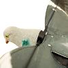 Pigeon hypaflap ultra souple Electrique