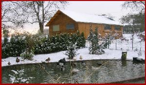 Les canards de Mormal