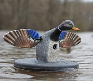 Colvert ailes rotatives electriques MOJO Elite Flottant