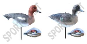 Pack 6 Siffleurs coquilles Sportplast