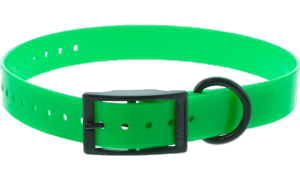 collier Fluo vert canihunt
