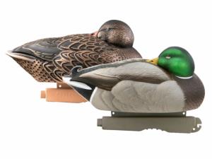 Couple de Colverts dormeurs flottants GHG