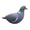 Pack de 12 pigeons FA BRAND