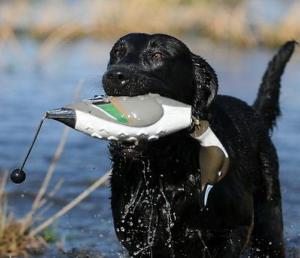 Apportable canard pilet