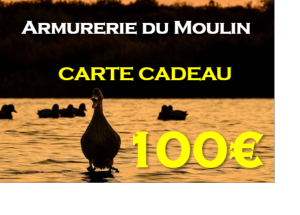 Carte cadeau 100€