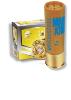 Mary Arm Regiasteel 24