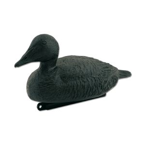 Eider noir
