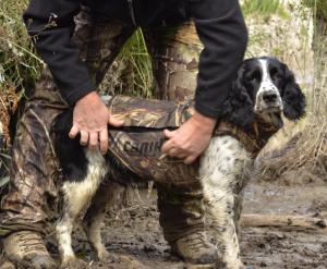 Gilet néoprène pour chien Canihunt neo pro