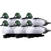 Pack Garrot magnum moussés GHG 6 mâles