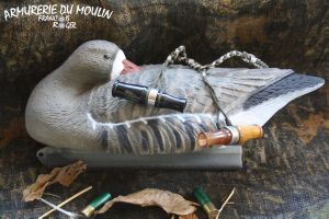 Forme d'oie rieuse flottante dormeuse