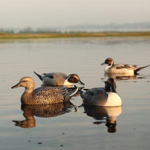 Pack 6 Pilets flottants Pro grade GHG